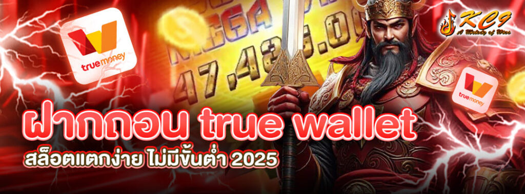 ฝากถอน true wallet